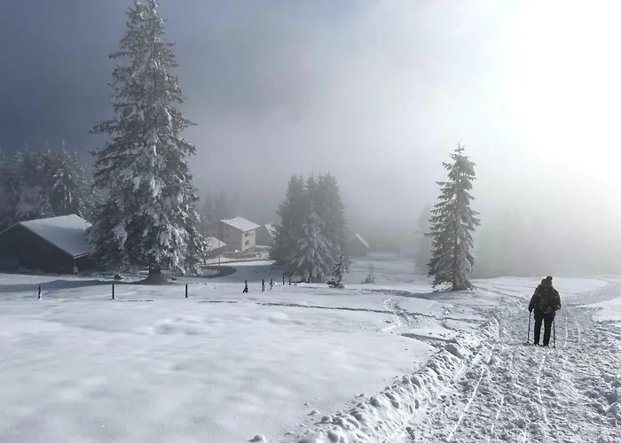 Runnimoos-1 By Interhome Casa vacanze